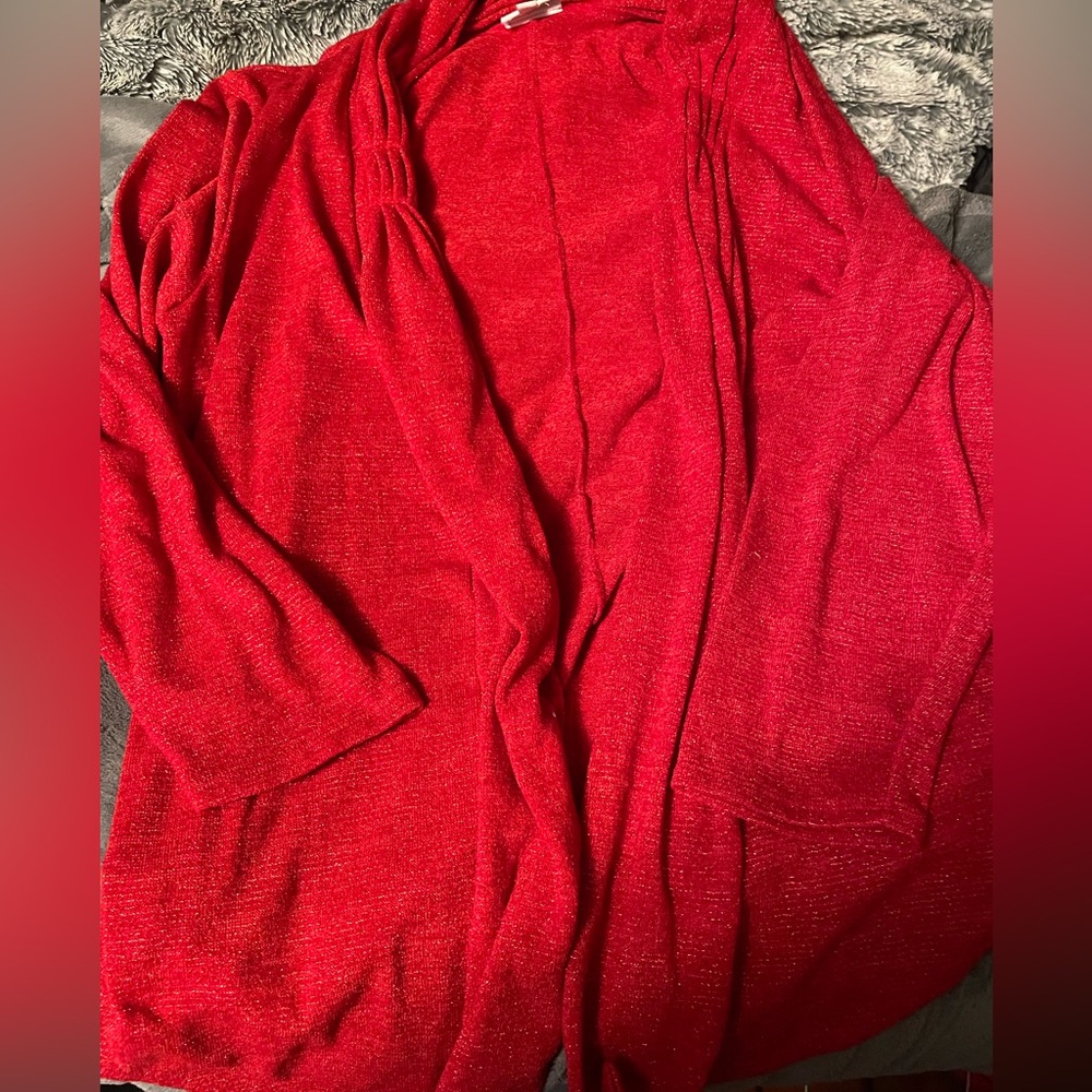 5 for $15 Fashion Bug Red Sparkly Long Sleeve Tunic Sweater 4X